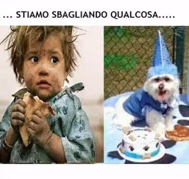 bambino affamato, cane pasciuto bambino affamato, cane pasciuto