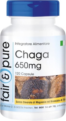 una confezione di Chaga in capsule
