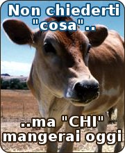 un bue come un uomo un bue come un uomo